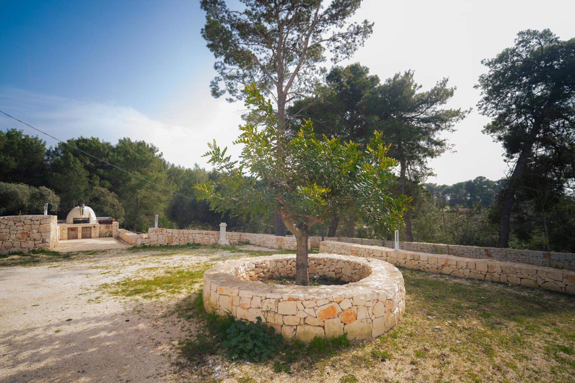 Trulli Magda Villa มาร์ตินาฟรังกา ภายนอก รูปภาพ