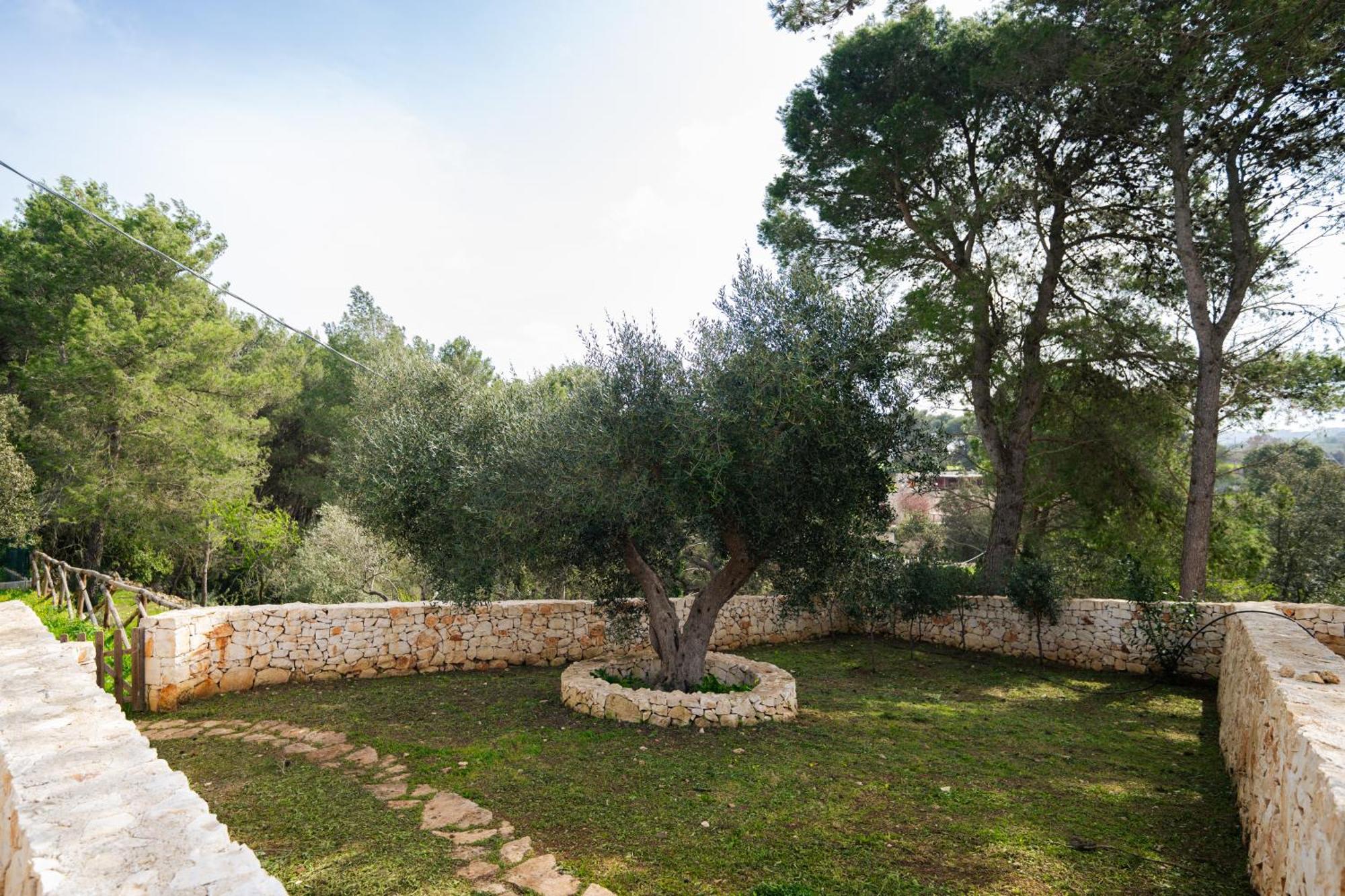 Trulli Magda Villa มาร์ตินาฟรังกา ภายนอก รูปภาพ